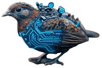 Cyber quail symbolizing precise cybersecurity guidance and smart technology decisions for small and medium-sized businesses